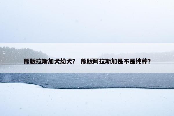 熊版拉斯加犬幼犬？ 熊版阿拉斯加是不是纯种？