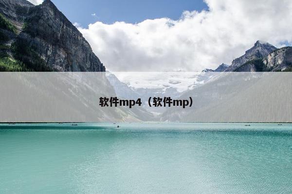 软件mp4（软件mp）