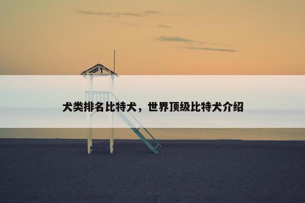 犬类排名比特犬，世界顶级比特犬介绍