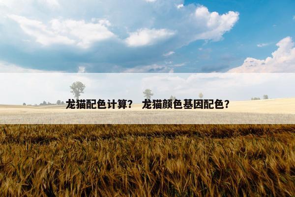 龙猫配色计算？ 龙猫颜色基因配色？