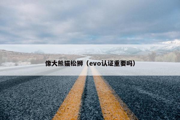 像大熊猫松狮（evo认证重要吗）