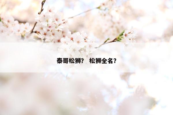 泰哥松狮？ 松狮全名？