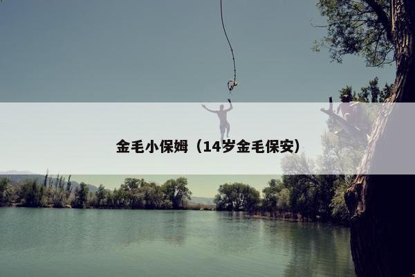 金毛小保姆（14岁金毛保安）