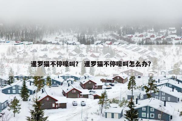暹罗猫不停嚎叫？ 暹罗猫不停嚎叫怎么办？