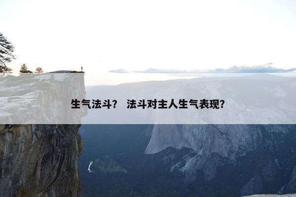生气法斗？ 法斗对主人生气表现？