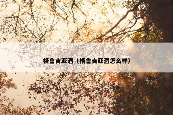 格鲁吉亚酒（格鲁吉亚酒怎么样）