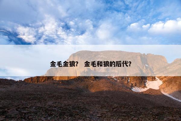 金毛金狼？ 金毛和狼的后代？
