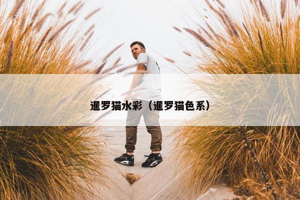 暹罗猫水彩（暹罗猫色系）
