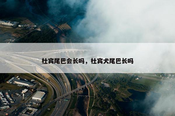 杜宾尾巴会长吗，杜宾犬尾巴长吗
