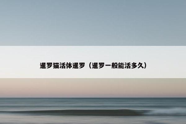 暹罗猫活体暹罗（暹罗一般能活多久）