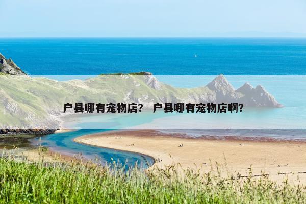 户县哪有宠物店？ 户县哪有宠物店啊？