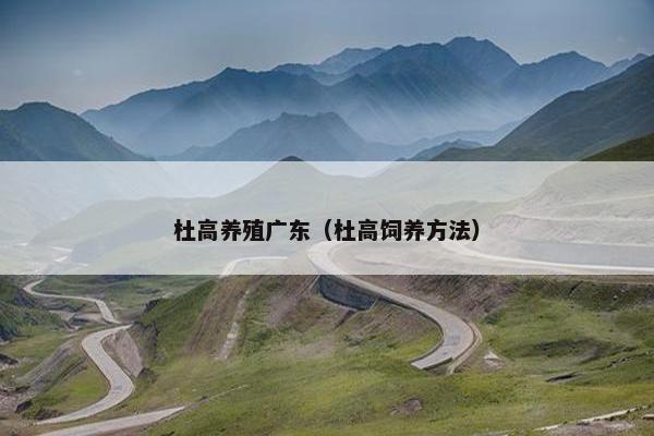 杜高养殖广东（杜高饲养方法）