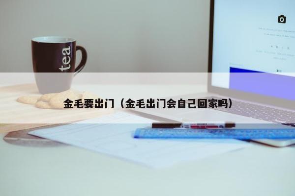 金毛要出门（金毛出门会自己回家吗）