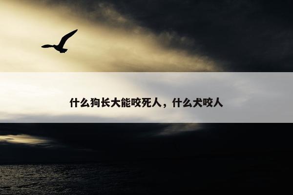 什么狗长大能咬死人，什么犬咬人