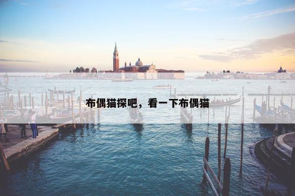 布偶猫探吧，看一下布偶猫