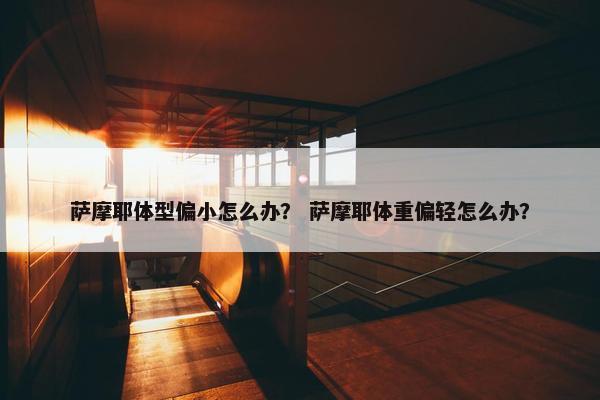 萨摩耶体型偏小怎么办？ 萨摩耶体重偏轻怎么办？