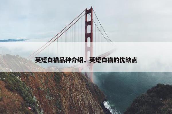 英短白猫品种介绍，英短白猫的优缺点