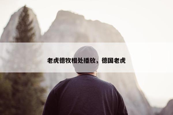 老虎德牧相处播放，德国老虎