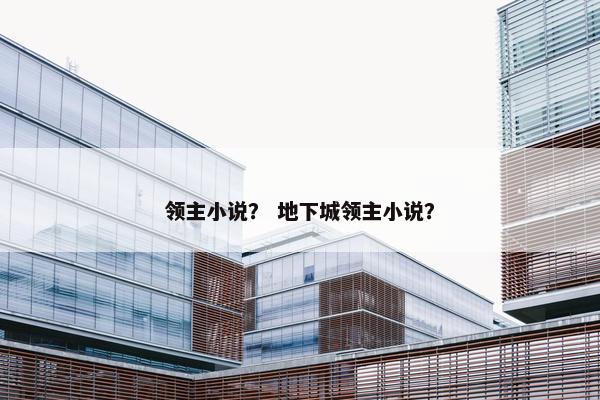 领主小说？ 地下城领主小说？