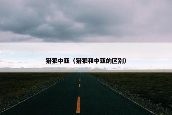 猎狼中亚（猎狼和中亚的区别）