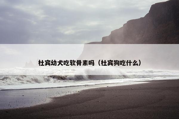 杜宾幼犬吃软骨素吗（杜宾狗吃什么）