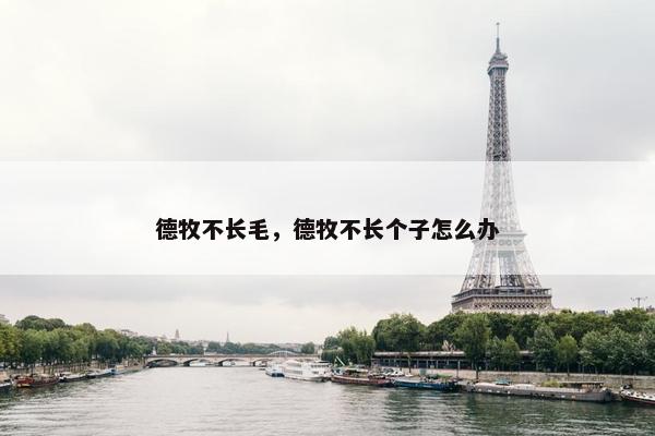 德牧不长毛，德牧不长个子怎么办