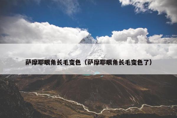 萨摩耶眼角长毛变色（萨摩耶眼角长毛变色了）