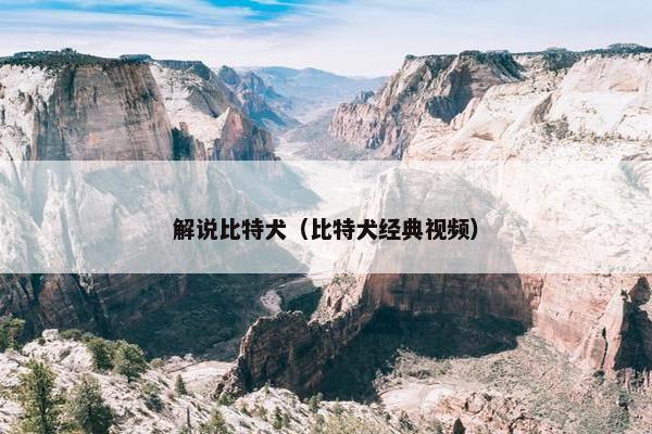 解说比特犬（比特犬经典视频）