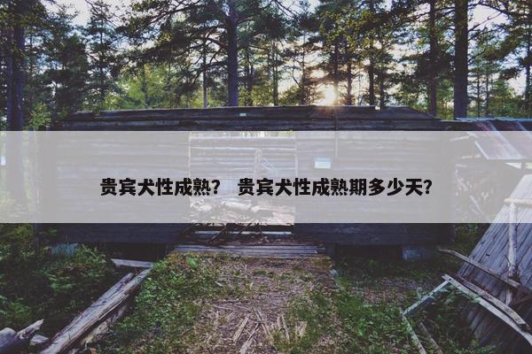 贵宾犬性成熟？ 贵宾犬性成熟期多少天？