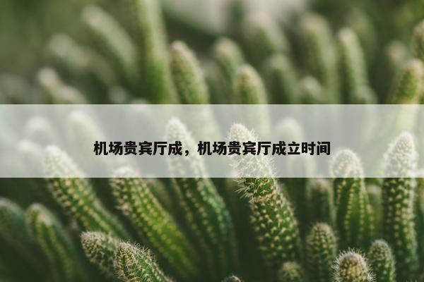 机场贵宾厅成，机场贵宾厅成立时间