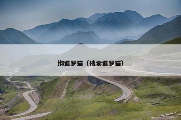 绑暹罗猫（搜索暹罗猫）