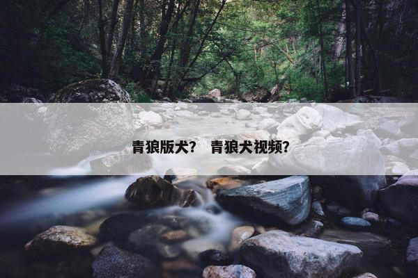 青狼版犬？ 青狼犬视频？