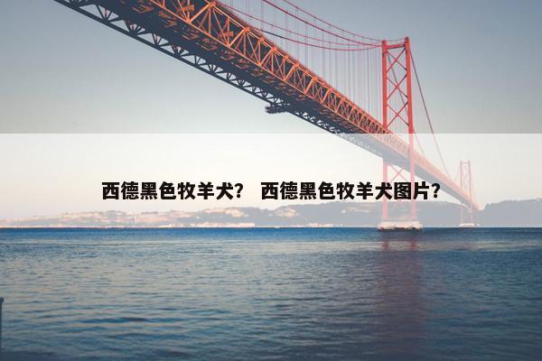 西德黑色牧羊犬？ 西德黑色牧羊犬图片？