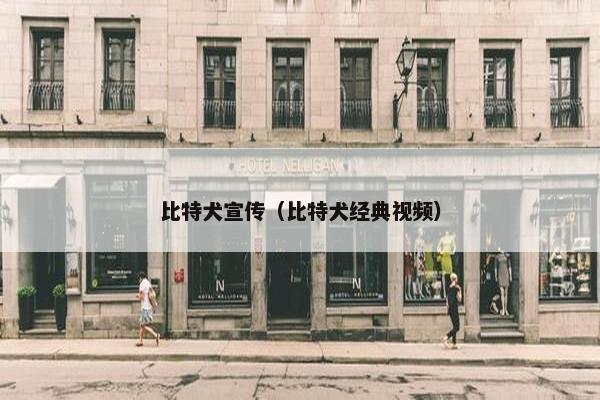 比特犬宣传（比特犬经典视频）