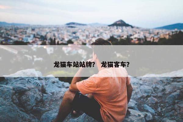 龙猫车站站牌？ 龙猫客车？