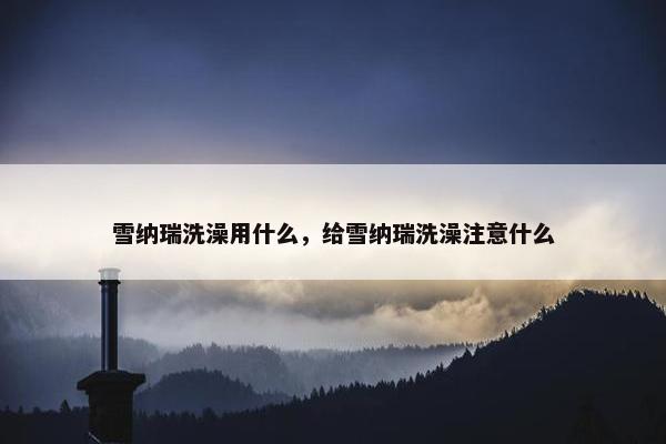 雪纳瑞洗澡用什么，给雪纳瑞洗澡注意什么