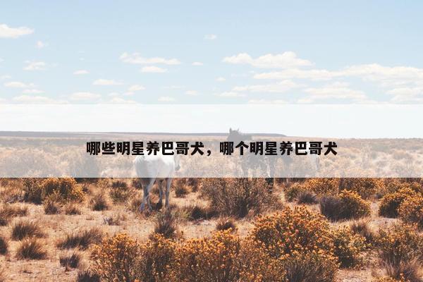 哪些明星养巴哥犬，哪个明星养巴哥犬
