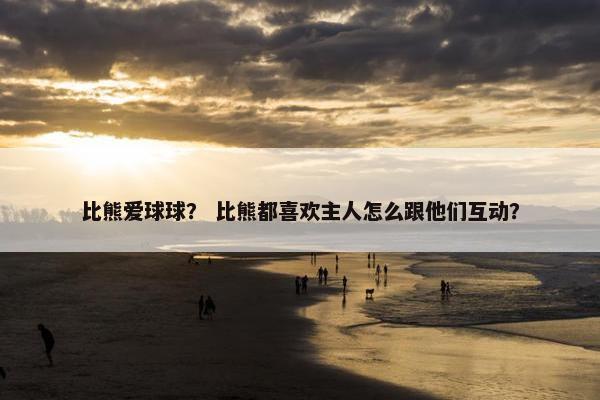 比熊爱球球？ 比熊都喜欢主人怎么跟他们互动？