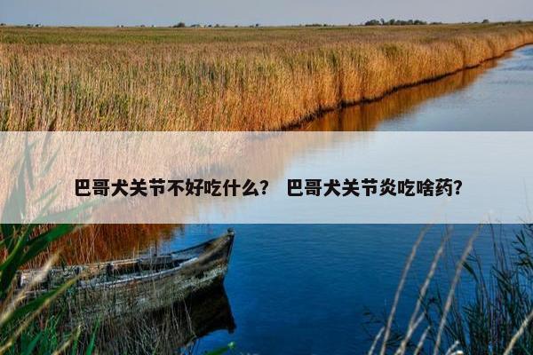 巴哥犬关节不好吃什么？ 巴哥犬关节炎吃啥药？