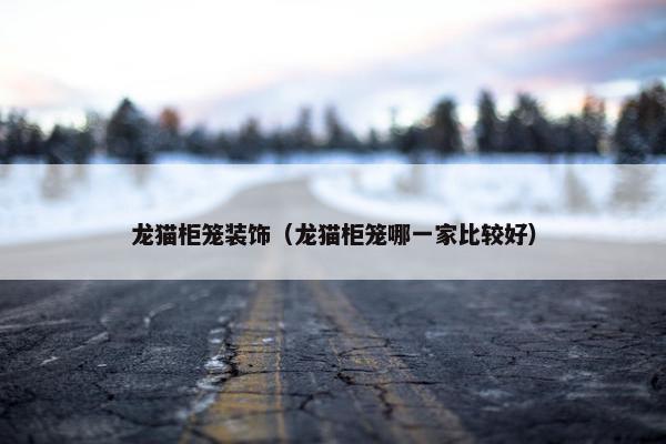 龙猫柜笼装饰（龙猫柜笼哪一家比较好）