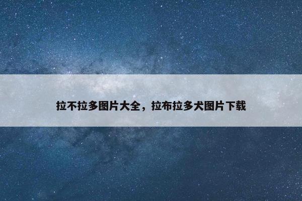 拉不拉多图片大全，拉布拉多犬图片下载