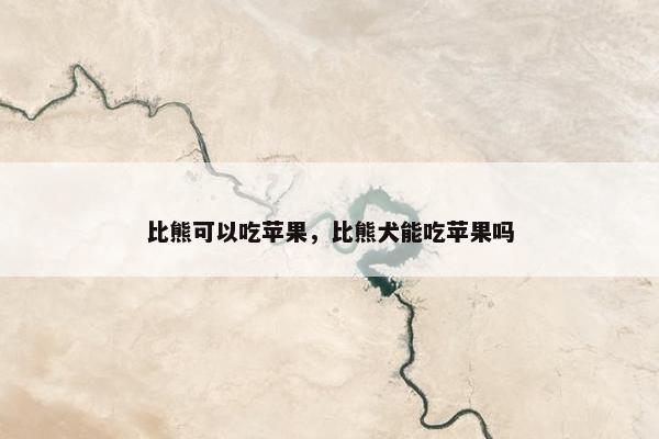 比熊可以吃苹果，比熊犬能吃苹果吗