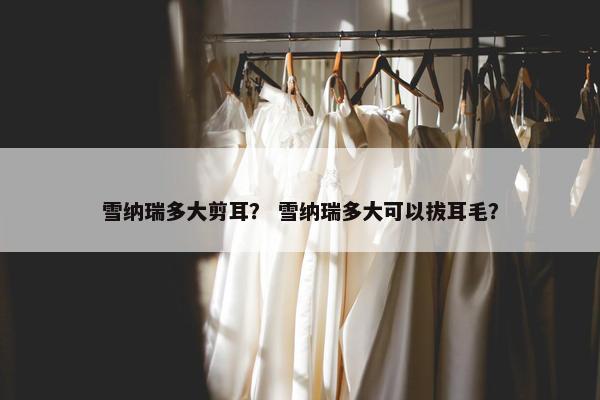 雪纳瑞多大剪耳？ 雪纳瑞多大可以拔耳毛？