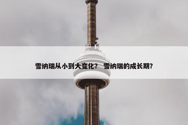 雪纳瑞从小到大变化？ 雪纳瑞的成长期？