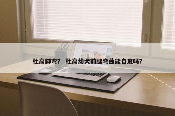 杜高脚弯？ 杜高幼犬前腿弯曲能自愈吗？