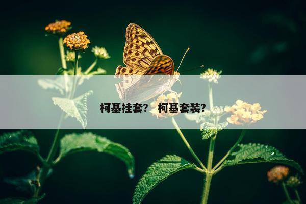 柯基挂套？ 柯基套装？