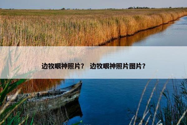 边牧眼神照片？ 边牧眼神照片图片？