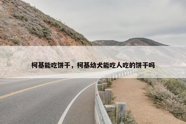 柯基能吃饼干，柯基幼犬能吃人吃的饼干吗