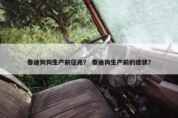 泰迪狗狗生产前征兆？ 泰迪狗生产前的症状？