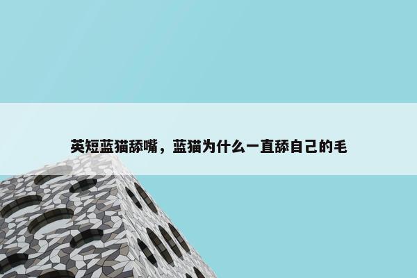 英短蓝猫舔嘴，蓝猫为什么一直舔自己的毛